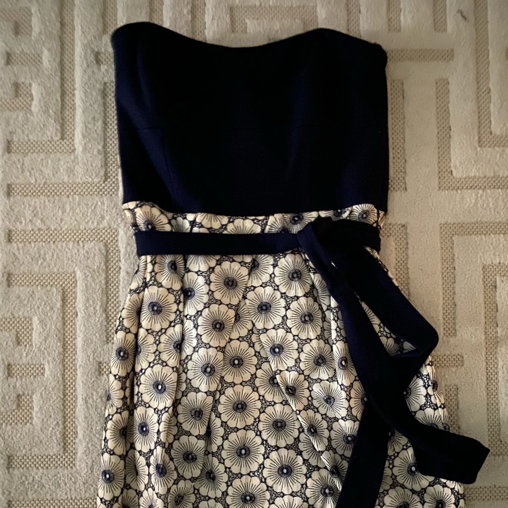 NEW w Tags! Cynthia Steffe Embroidered Dress